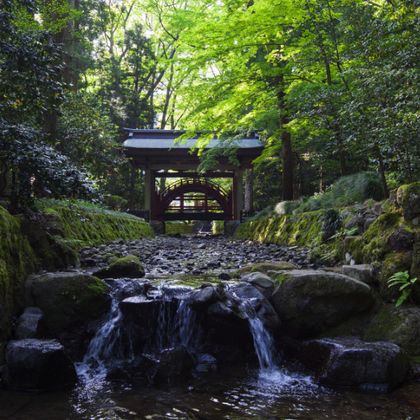 日本新潟+西蒲原郡+鱼沼市+村上市+笹川流れ游覧船乗り场一日游