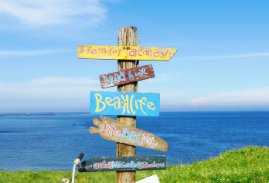 厦门湾·白塘湾火山公园+镇海角+明代古城镇海卫一日游【镇海角：以其自然风光著称，岛上有大片的草地和灯塔，被称为“福建小垦丁”。】