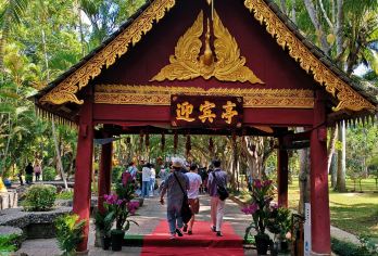西双版纳傣族园+热带植物园+勐泐文化旅游区一日游中英文服务【傣寨泼水狂欢，植物王国探奇，勐泐王宫溯史，版纳风情尽在此行。】