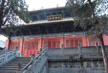 中国河南登封少林寺一日游【少林寺不仅是一座寺庙，更是一种文化的象征。来这里，感受禅武合一的独特魅力】