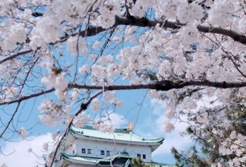 日本名古屋港水族馆+热田神宫一日游【中文司机/景点任选】【尊享一对一高端行程定制，多日豪华包车专属礼遇，专业旅行顾问24小时恭候垂询。】