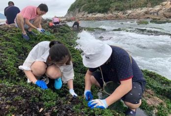 惠州双月湾黑排角礁石区赶海体验+包含工具+当地村名带队有收获【黑排角礁石险，村民带得稳！】