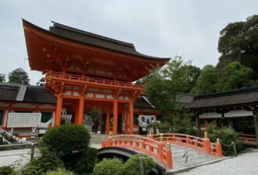 日本京都往返奈良-奈良公园.若草山-春日大社-红叶巡礼红叶季【专业行程定制，精选热门景点，高效游玩不走回头路，贴心服务保障，轻松】