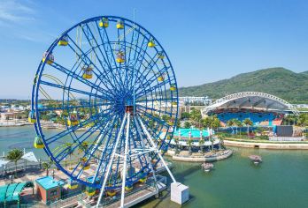 富力海洋欢乐世界<1单1团>随时出发丨水世界门票丨赠矿泉水【一单一团，随时出发，私密性更高】