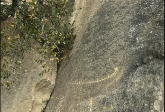 巴库里海bibi清真寺+戈布斯坦岩画+火焰山+火神庙+泥火山【[定制包车游]专享中文司机独立包车，市区范围酒店上门接送，行程路线天数可根据个人需求调整。】