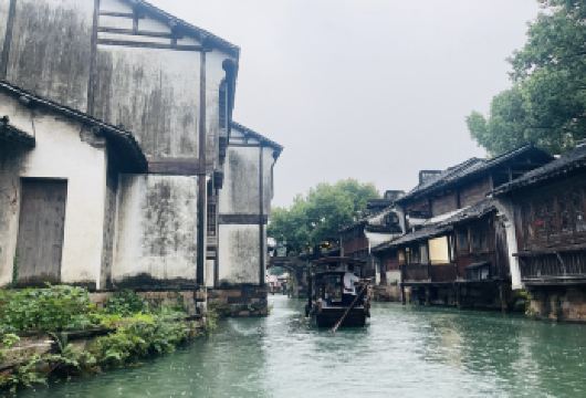 乌镇东栅+西栅一日游上海出发含门票 日游东栅夜游西栅【纯玩不进店 天天发班，旅行社直发 不转团不卖团 专线专职导游；】
