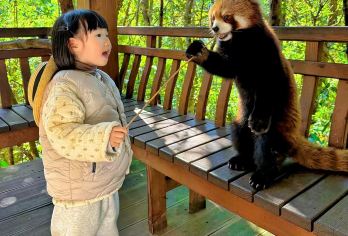 普洱太阳河森林公园+普洱咖啡庄园（可选）一日游【精品纯玩小团，市区内酒店上门接送，独立用车，出发时间自由灵活，不奔波不赶路，睡醒出发】