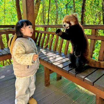 普洱太阳河森林公园+普洱咖啡庄园（9选1）一日游