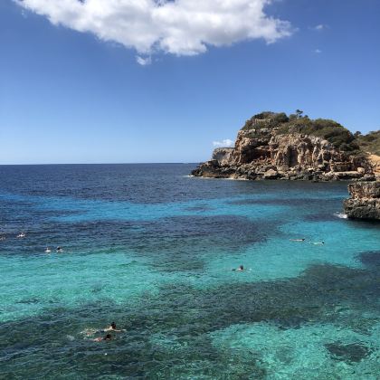 马略卡+阿尔库迪亚老城+阿尔库迪亚海滩一日游【中文司机】