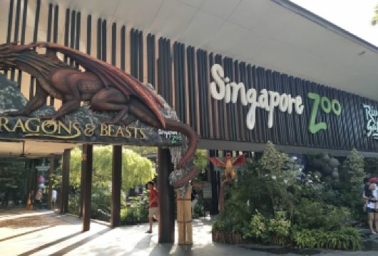 新加坡亲子包车｜动物园+河川生态园+夜间野生动物园深度体验【与红毛猩猩、树懒等动物亲密互动，乘坐亚马逊河游船，享受一站式雨林探秘乐趣】