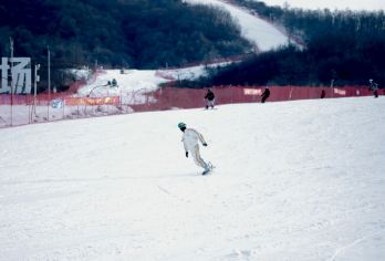 照金国际滑雪场西安市区往返直通车（不含门票）【照金国际滑雪场多年服务商，车况良好，手续齐全。】
