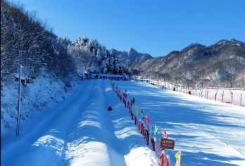 【南阳起止】木札岭滑雪一日游【南阳官方直通车】