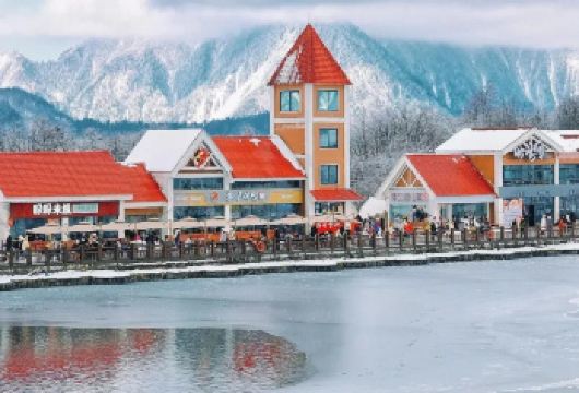 西岭雪山1天【纯玩·自由行【含门票】亲子·朋友游】【[特别赠送]含西岭雪山门票，门票优惠不退；】