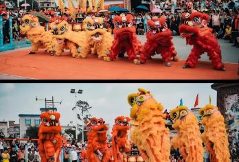 广东湛江出发雷州半岛包车一日游10小时|快速打卡|纯玩独立团【雷州半岛一日览，红土蓝海人文韵。】
