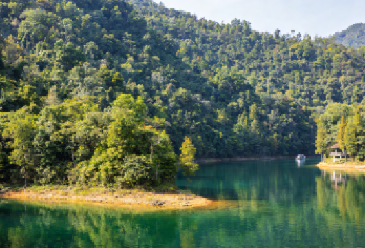 从化流溪河森林公园 - 从化溪头村线【森林浴 + 乡村徒步，可采摘应季水果，适合周末放松身心】