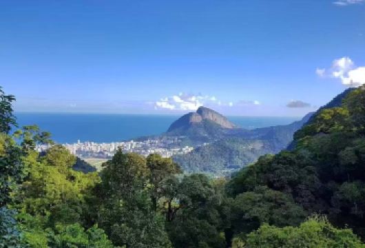 里约热内卢包车：奇久卡国家公园+基督像+主教座堂+塞勒隆台阶【奇久卡森呼吸瞰城景，基督像揽山海，天梯教堂遇圣境，塞勒隆台阶撞南美色彩】