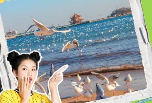 【购物退全款】2-8人团/栈桥喂海鸥/啤酒博物馆+游船小麦岛【[青岛啤酒博物馆AB馆]赠送品尝纯生+原浆各一杯+啤酒豆一包+赠送[游艇出海船票]】