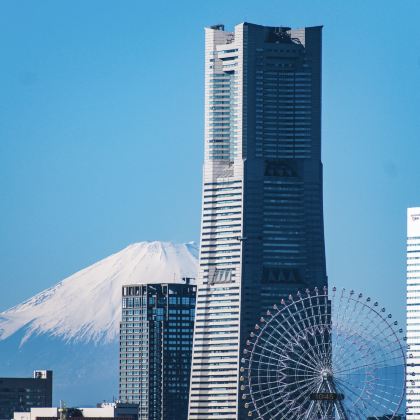 东京出发｜横滨全景一日｜红砖仓库-象鼻公园（不含门票）