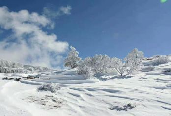 昆明轿子雪山一日游【8人内小团◆二环内接送◆时间充足】【[品质保障]商务小团出行，二环内接送，不用等来等去，时间宽松。】