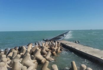 黄河口高品质+孤东海堤+鸟浪一日游【专车进景区│精讲、纯玩】【订单可免费退改期，资深导游带您高效游玩】