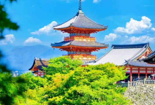 日本京都+奈良+三年坂二年坂一日游/行程可调-可定制多日【包车一日游，解锁旅行新方式！独立车辆配备经验丰富的老司机，为您量身打造专属行程。】