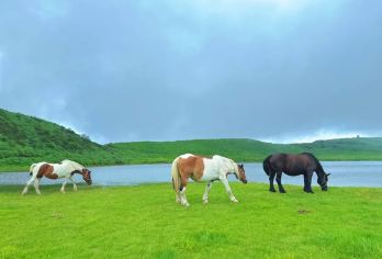 日本九州-熊本往返-阿苏山-草千里-高千穂峡 领略活火山风采【专业行程定制，精选热门景点，高效游玩不走回头路，贴心服务保障，轻松】