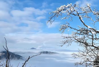 成都出发：西岭雪山一日游（赏雪玩趣 | 可选英文导游）【景点可选|可选英文导游|专车接送|行程可调|可定制行程】
