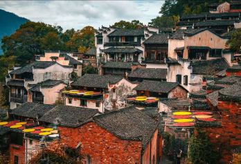 【包车自由行】景德镇—婺源篁岭+李坑景区1日包车游【〈品质保证〉公司承诺小团0购物】