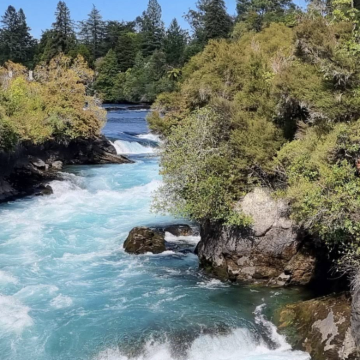 新西兰奥克兰-教堂湾-热水沙滩-可定制【中文专车-惬意舒适】