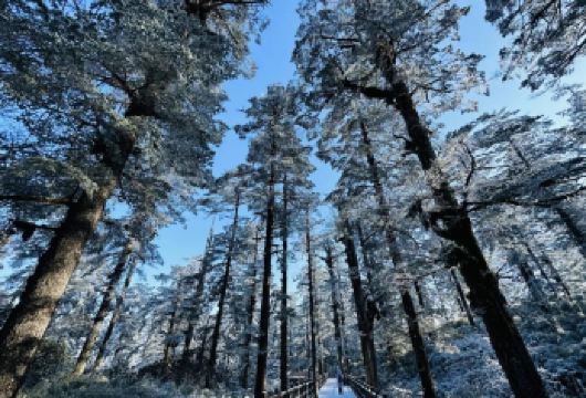 秋冬赏景·瓦屋山1日游&纯玩无购物+山顶赏雪景【[品质纯玩]春季看瓦屋山红叶雪景；全程纯玩，无购物，兰溪绝壁留下你的“足迹”】