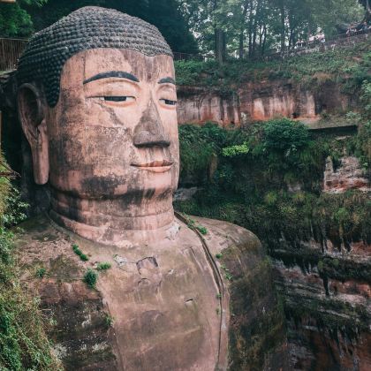 乐山大佛一日游【成都出发+景区免排队+快速入园 随时有票】
