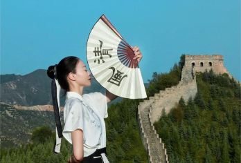 雁门关+旧广武古城+应县木塔一日游【包车游 懒人出行】【升级一:晚起!慢玩!1对1包车服务,畅玩8.5H,一次玩个够】