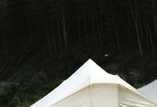 湖州安吉一日游：小杭坑+江南天池+藏龙百瀑【包车×多语种】【全程中文/英文/俄语/小语种服务，沟通无障碍，景点可调,多种车型可选】