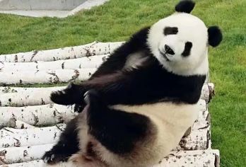 乌兰察布出发|林胡古塞一日游【|0推费|24h管家服务|免费上门接送|驾龄10+老司导|】