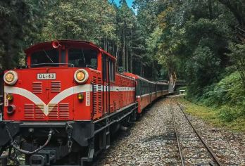 台中市区出发｜阿里山森林游乐区一日游【精品小团，适合家人情侣亲子出游】