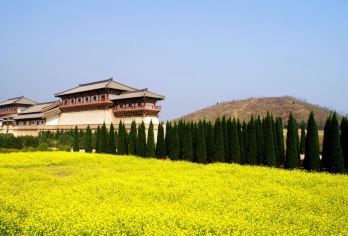 西安:探墓考古游-法门寺-乾陵-汉阳陵|中英导游|包车|【全程中文/英文/俄语/各种小语种服洒务，沟通无障碍，景点可调,多种车型可选】