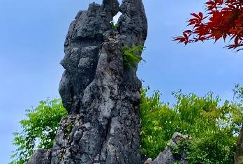 重庆往返：广安邓小平故里+华蓥山一日活动（伟人故里/革命故事）【可选英文导游|行程可调|可定制行程】