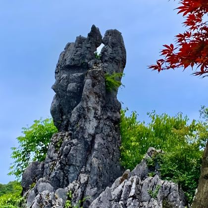 重庆往返：广安邓小平故里+华蓥山一日活动（伟人故里/革命故事）