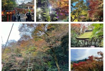 日本京都-琉璃光院-三千院-贵船神社-红叶满天 京都巡礼【专业行程定制，精选热门景点，高效游玩不走回头路，贴心服务保障，轻松】