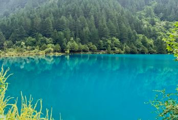 黄龙九寨火车站至九寨沟巴士拼车接送|有票【单程直通车。固定下车地点：鲁能城、永恒之爱、月亮湾地面停车场或订单前咨询我们 行程大约需要2小时。如果您对套餐仍有疑问，欢迎随时通过Trip.com的即时通讯工具咨询我们。 对于汽车套餐：我们可以将您送至距离九寨沟国家公园 2-3 公里范围内的酒店】