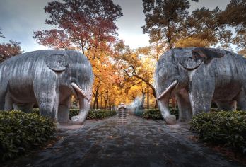 【慢享游】明孝陵 深度讲解 四季美景无缝切换【1.5小时左右的讲解可快速掌握历史脉络，比自主参观收获更系统。】