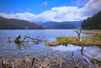香格里拉往返普达措国家公园+噶丹松赞林寺+独克宗包车1日游【品质出游】