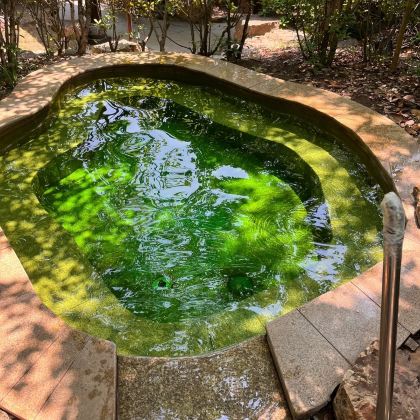 南京市区包车往返｜和县香泉温泉+霸王祠一日包车游（多车型可选