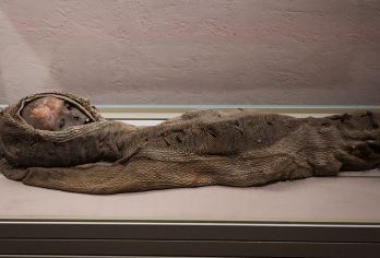 【含门票代预约】新疆维吾尔自治区博物文史大咖包团人工讲解【[大咖讲师]文史大咖深度讲解新疆维吾尔自治区博物馆，全程精华讲解，拒绝走马观花】