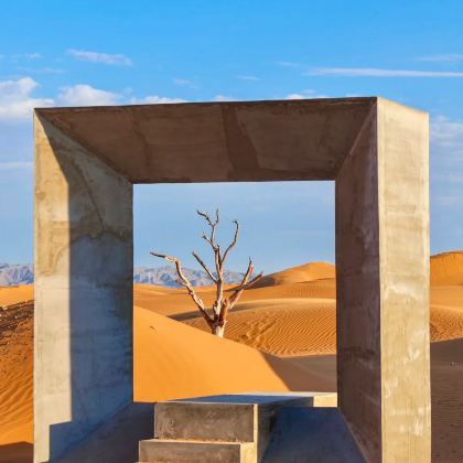 【包车自由行】宁夏景点随心配·解锁塞上江南之旅