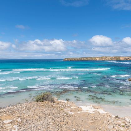 澳大利亚南澳大利亚 艾尔半岛【柯芬湾生蚝美景越野甄选一日游】