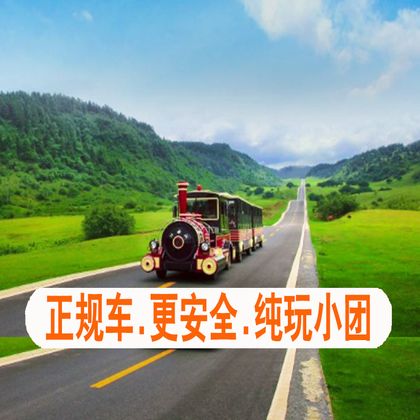 重庆仙女山国家森林公园+武隆天生三桥+乌江画廊（涪陵段）一日游