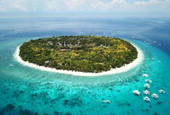 薄荷岛出海追逐海豚+巴里卡萨浮潜+海钓体验一日游|往返接送【体验追逐野生海豚群的乐趣，近距离观赏到海豚跃出海面的自然生态景观，迎着海风与海豚一起分享海上日出！】