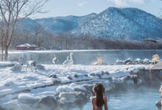 日本小樽登别天狗山朝里船见坂/可札幌富良野美瑛北海道包车精选【包车一日游，解锁旅行新方式！独立车辆配备经验丰富的老司机，为您量身打造专属行程。】