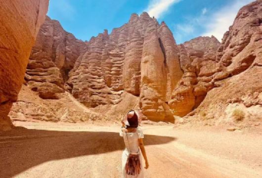 黄河石林一日游|专车接送▏甘北秘境 | 22道弯 |可选古城【[感受自由]你可以永远相信国家地理！坐着驴车走进甘北秘境！】